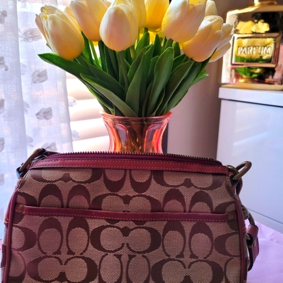 Coach 2004 fall - Picture 15 of 15